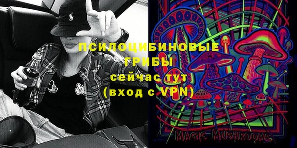 дмт Липки