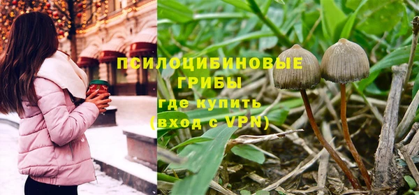 гашик Лиски