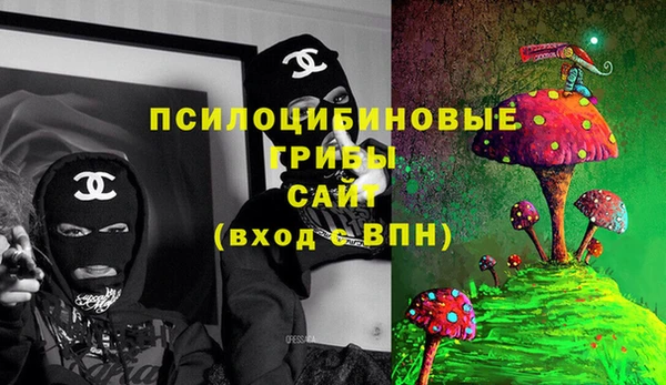 гашик Лиски