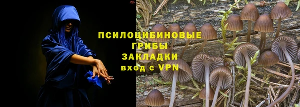 спайс Лагань