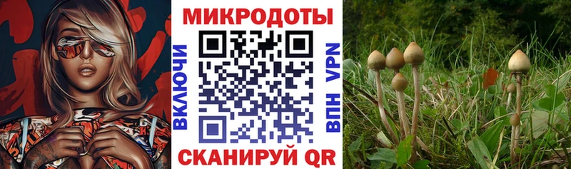 Галлюциногенные грибы Cubensis  Невьянск 
